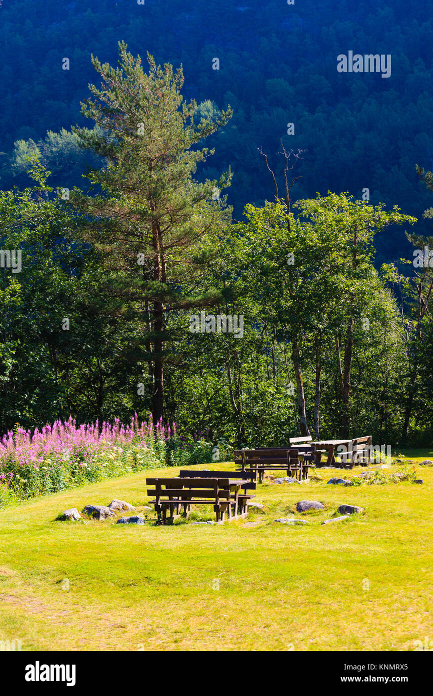Picnic site wooden table and benches in Norway, Europe Stock Photo - Alamy