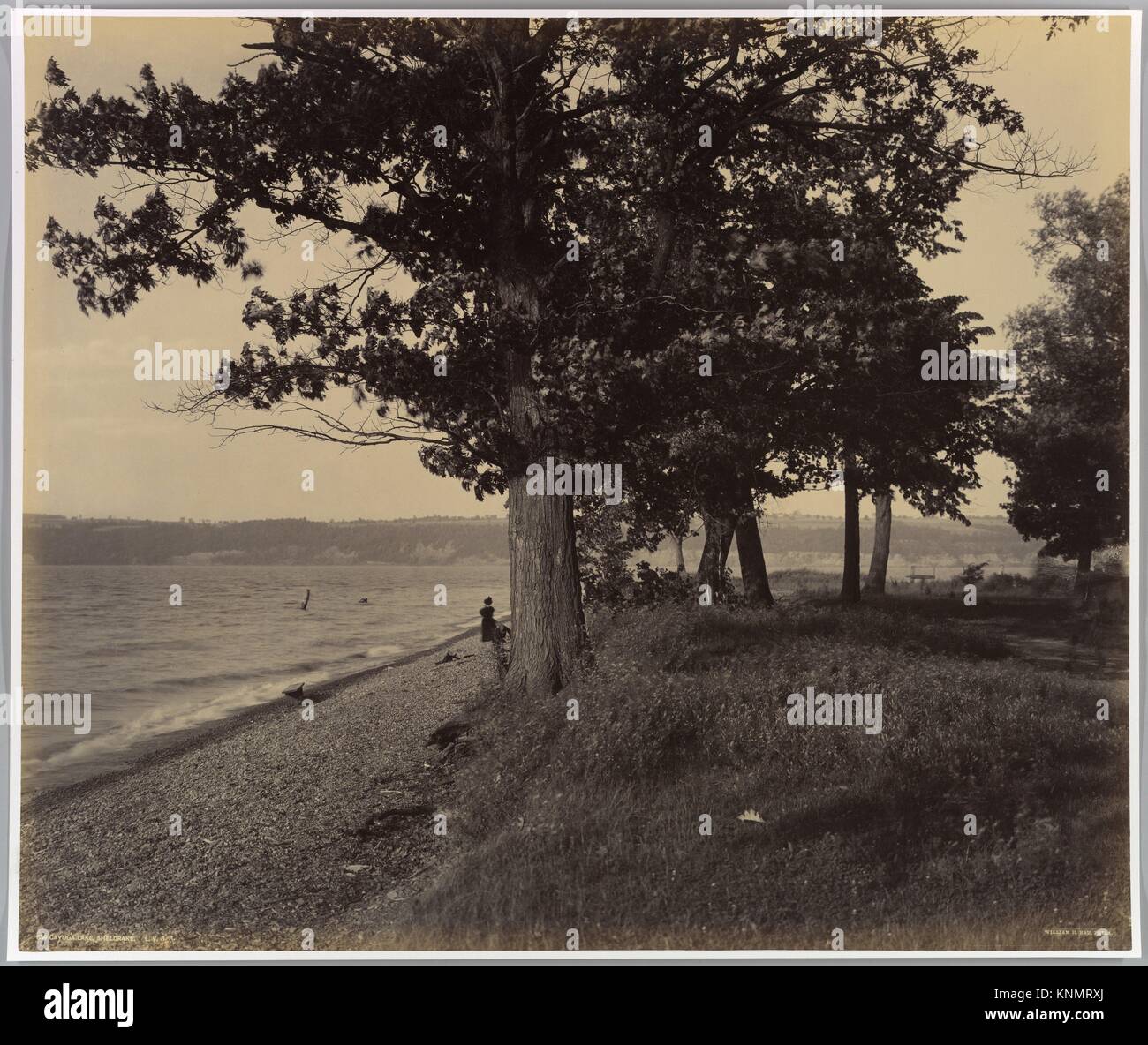 Cayuga Lake Sheldrake L.V.R.R. Artist William H. Rau (American, 1855