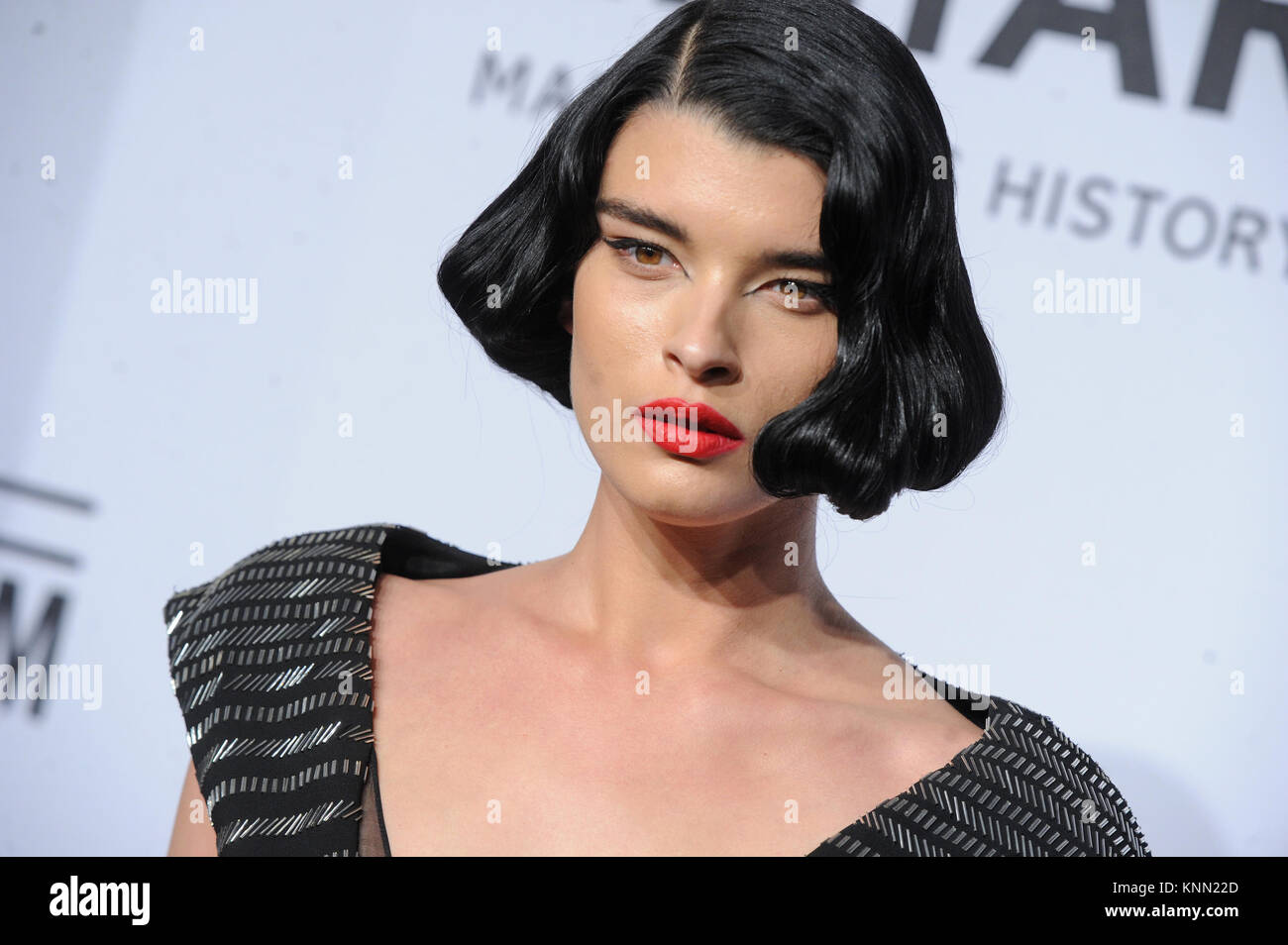 NEW YORK, NY - FEBRUARY 11: Crystal Renn attends the 2015 amfAR New ...