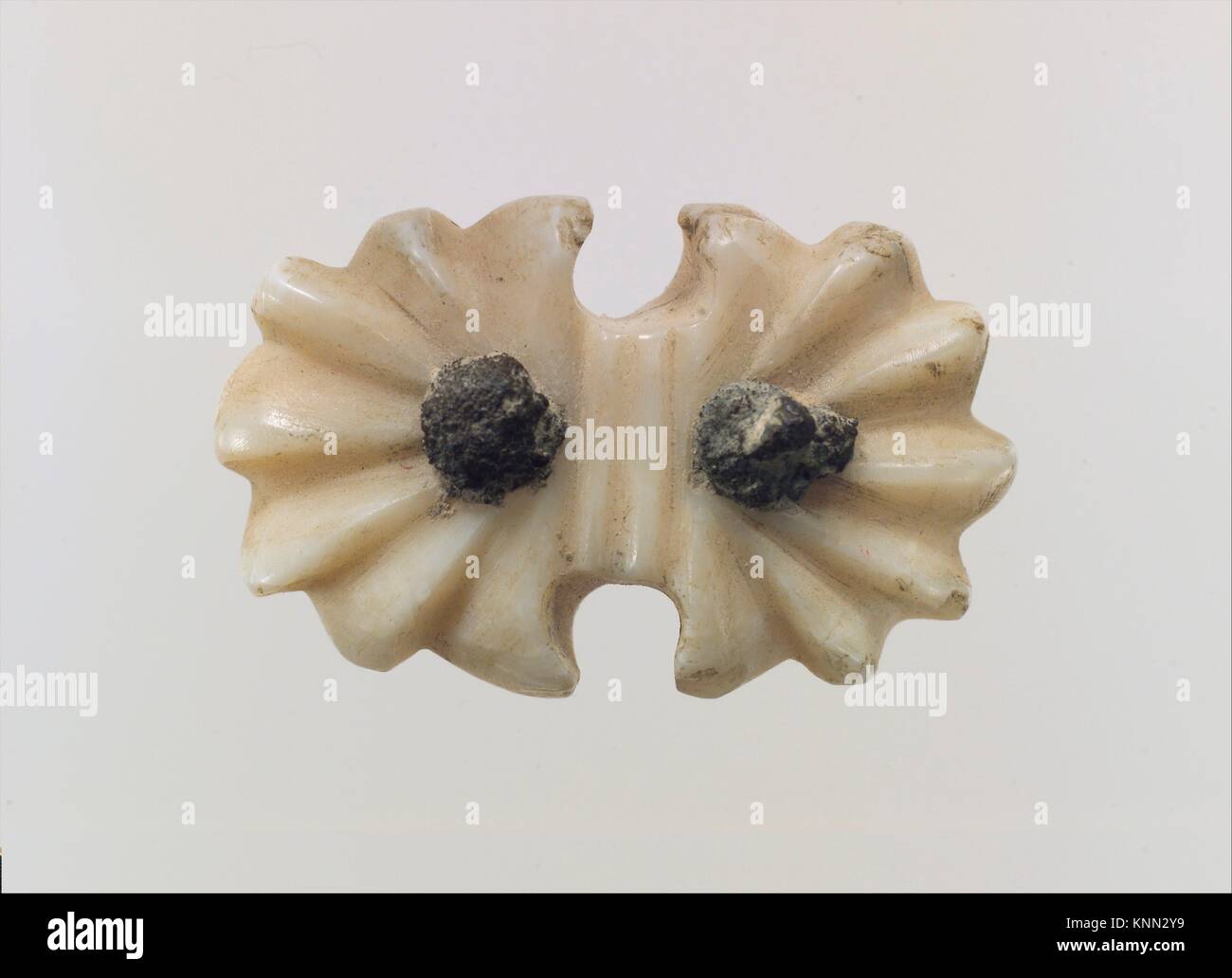 Ancient shell button hi-res stock photography and images - Alamy