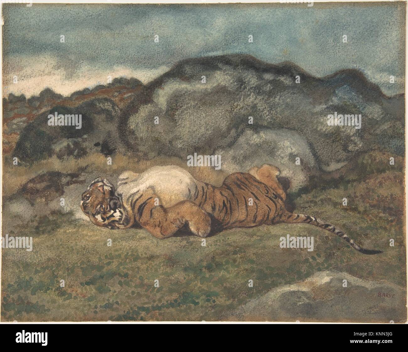 Tiger Rolling on Its Back. Artist: Antoine-Louis Barye (French, Paris ...