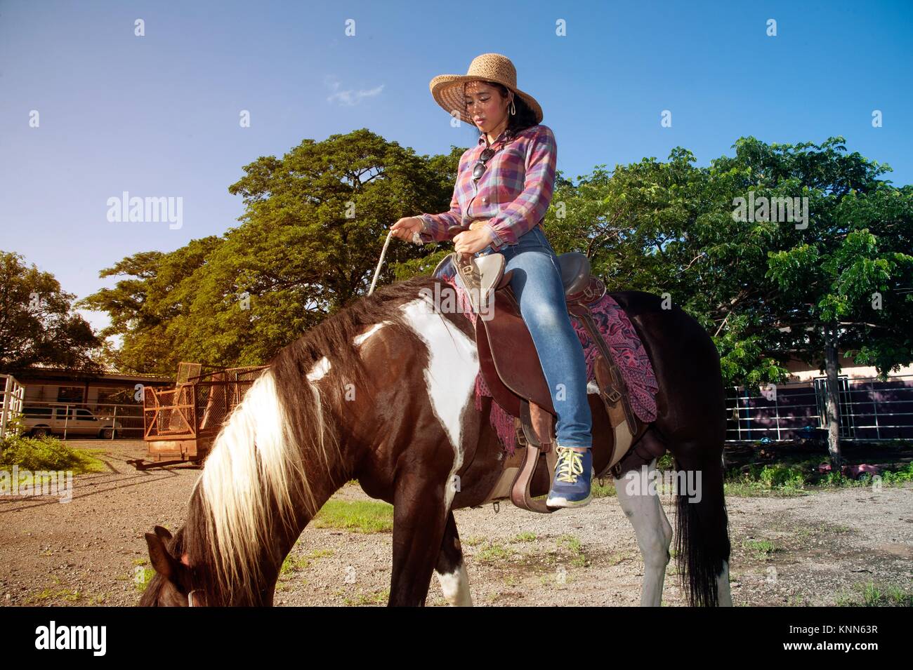 Riding Cowgirl