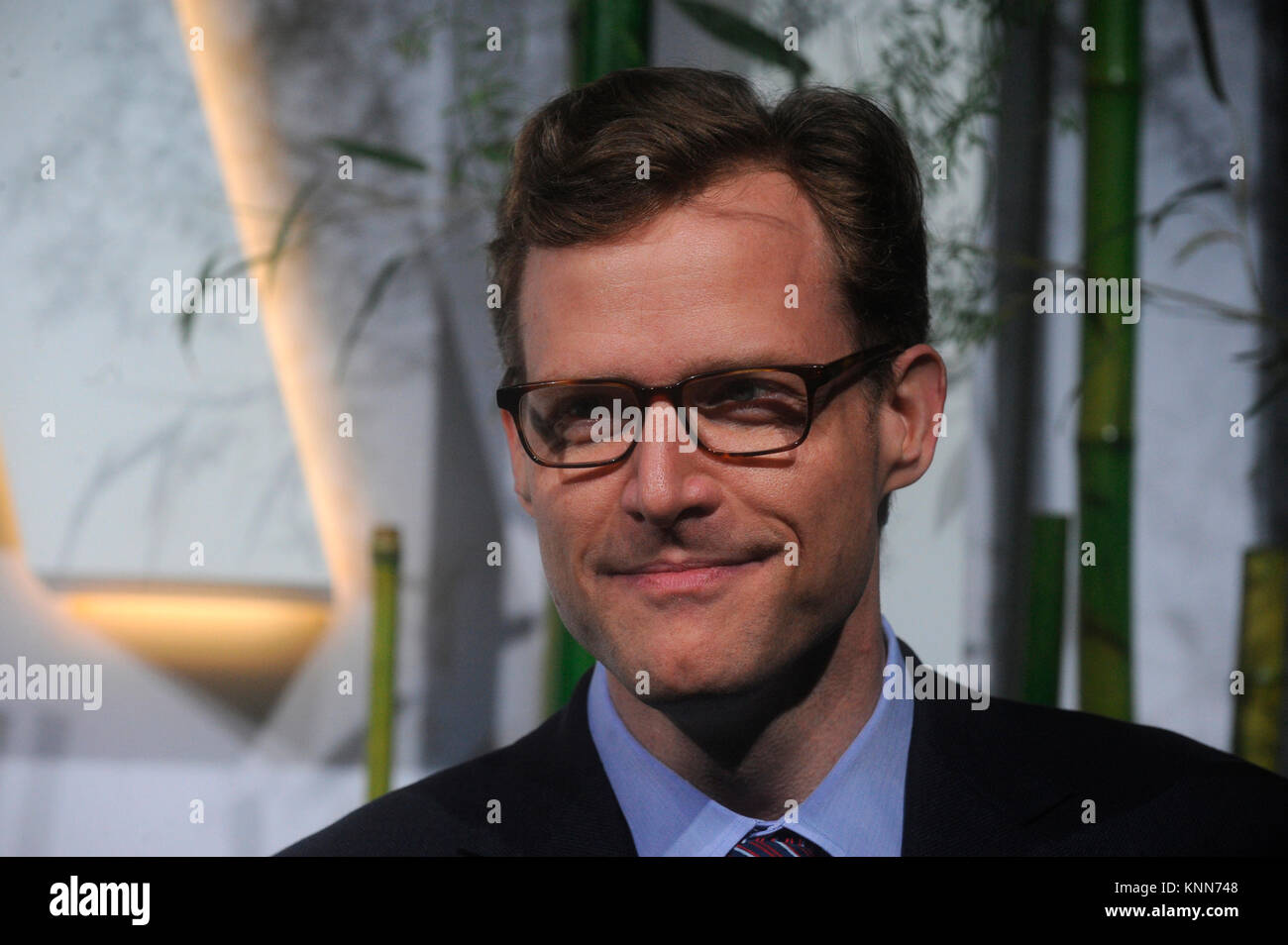 NEW YORK, NY - JUNE 02: Guest attends the 2015 Museum of Modern Art Party In The Garden and special salute to David Rockefeller on his 100th Birthday at Museum of Modern Art on June 2, 2015 in New York City   People:  Guest Stock Photo