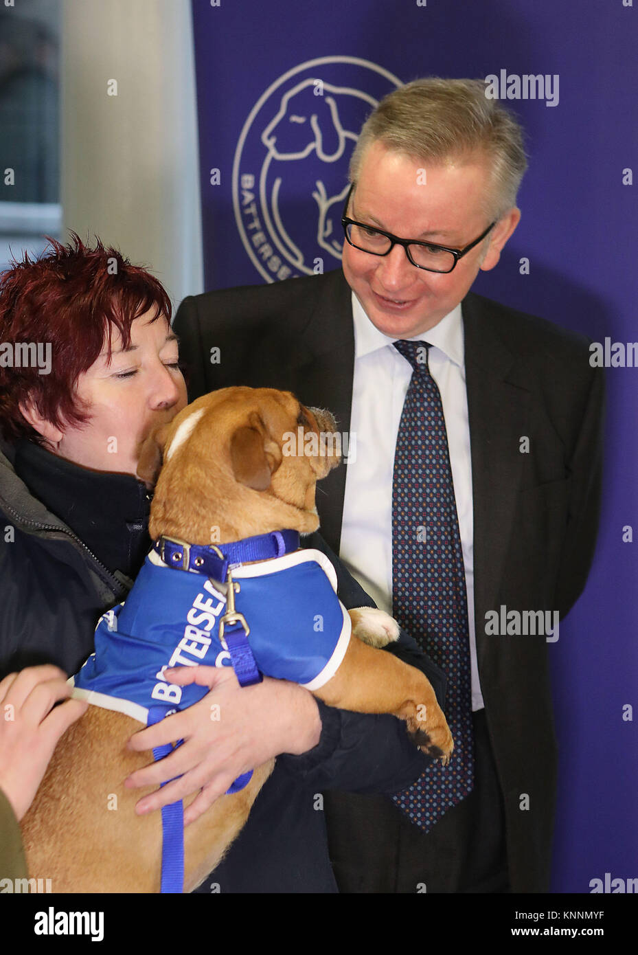 Secretary of State for Environment, Michael Gove (right) with Head of K9 behaviour Ali Taylor holding Enid the Bulldog during his visit to Battersea Dogs and Cats Home in London where he announced a new law that will ensure animal abusers are jailed for up to 5 years. Stock Photo