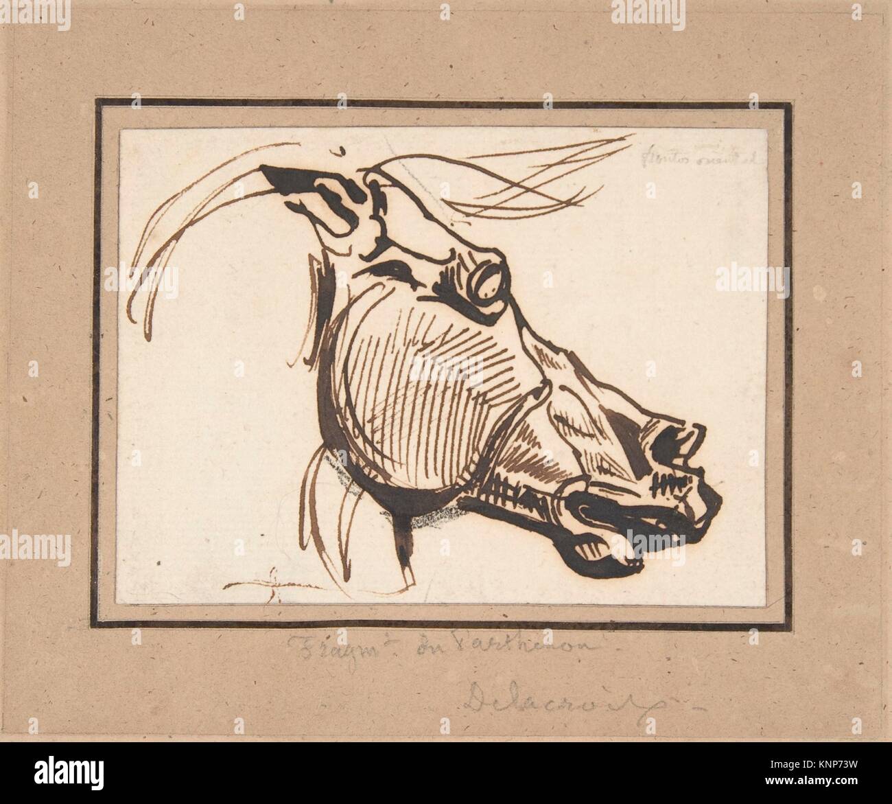 Head of a Horse, after the Parthenon. Artist Eugène Delacroix (French