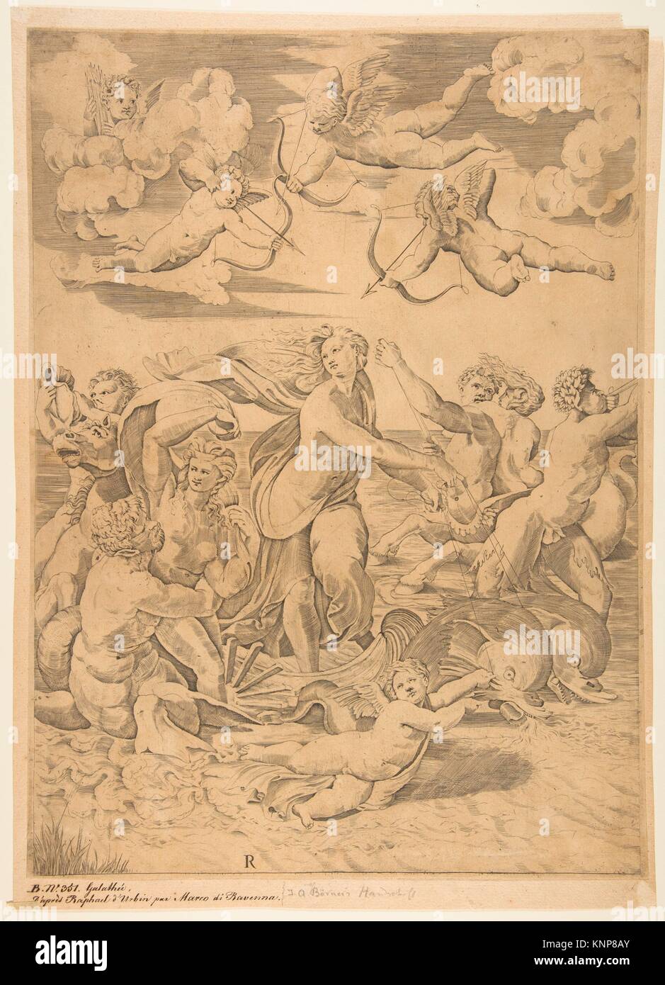 Galatea riding in a shell pulled through the water by dolphins, a cupid below and four more above, at left a triton embracing a nymph and behind them Stock Photo