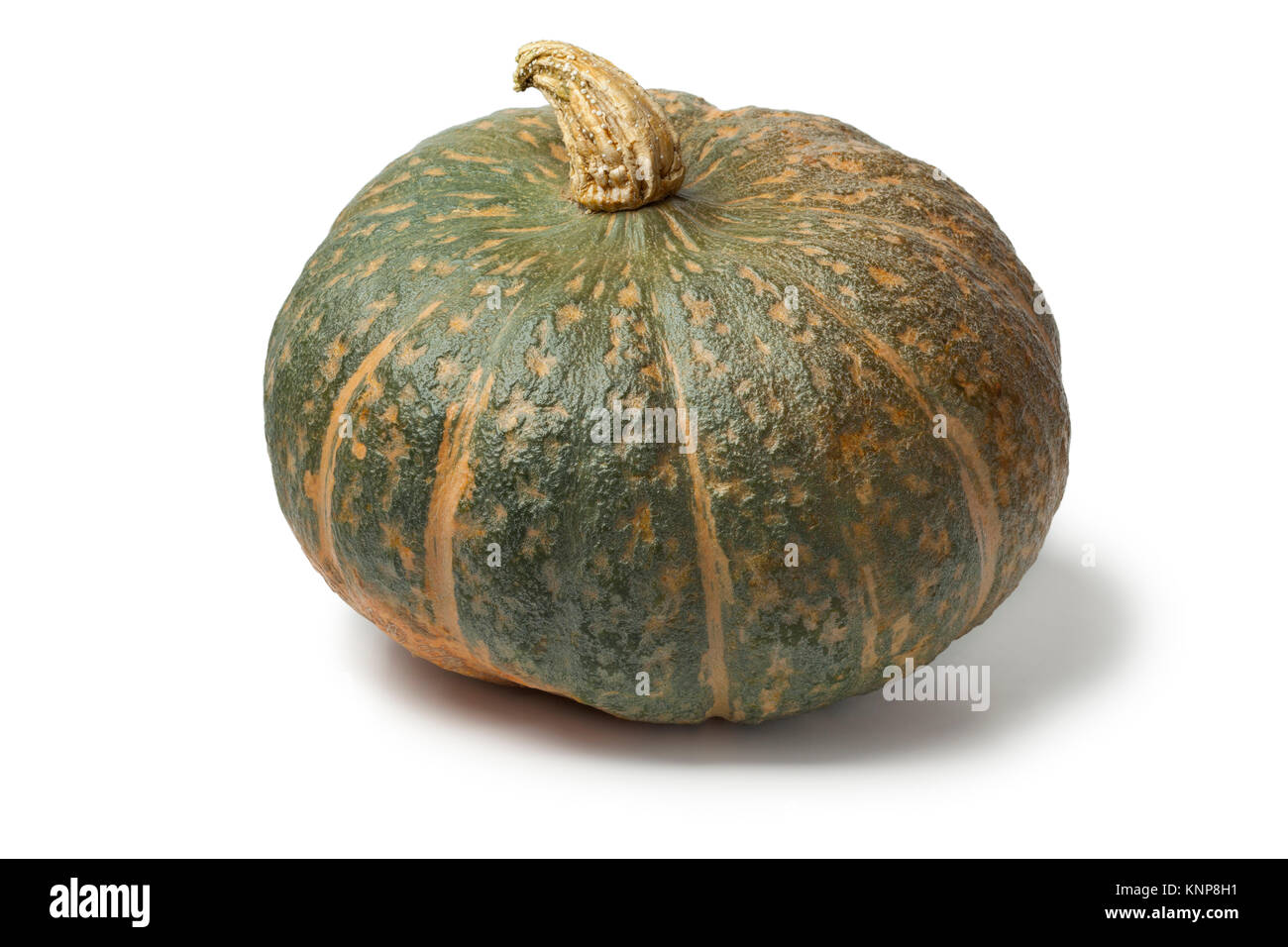 Fresh picked whole pumpkin Courge Delica Moretti on white background Stock Photo
