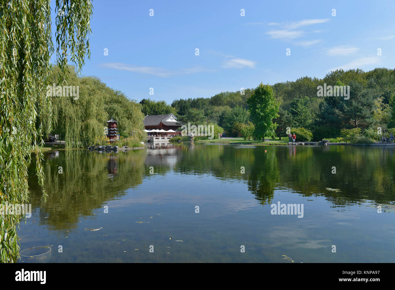 Chinese garden, IGA, Marzahn, Berlin, Germany, Chinesischer Garten
