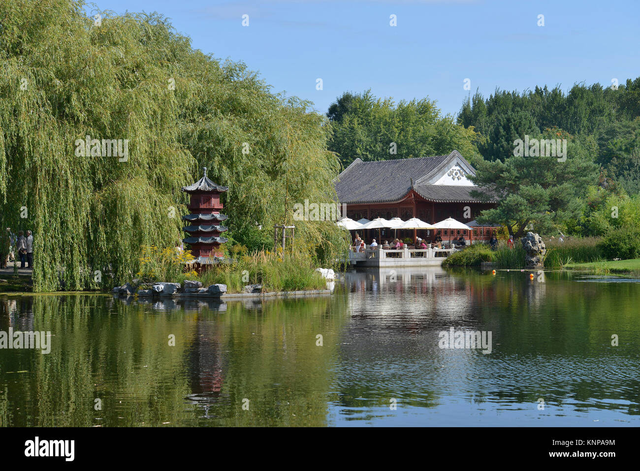 Chinese garden, IGA, Marzahn, Berlin, Germany, Chinesischer Garten
