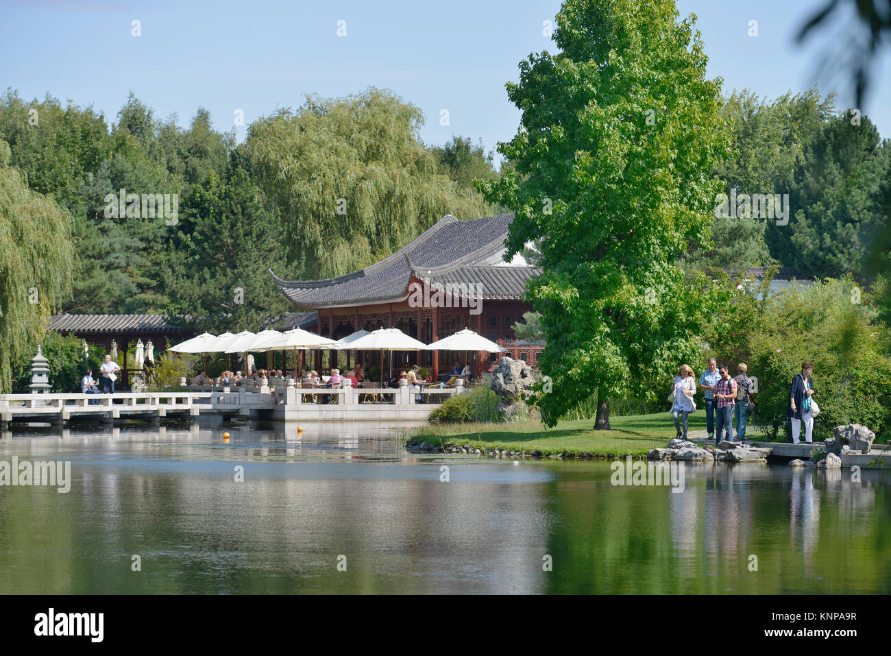 Chinese garden, IGA, Marzahn, Berlin, Germany, Chinesischer Garten
