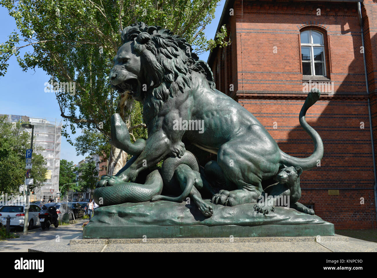 Lion, Wilsnacker street, Moabit, middle, Berlin, Germany, Loewe, Wilsnacker Strasse, Mitte, Deutschland Stock Photo