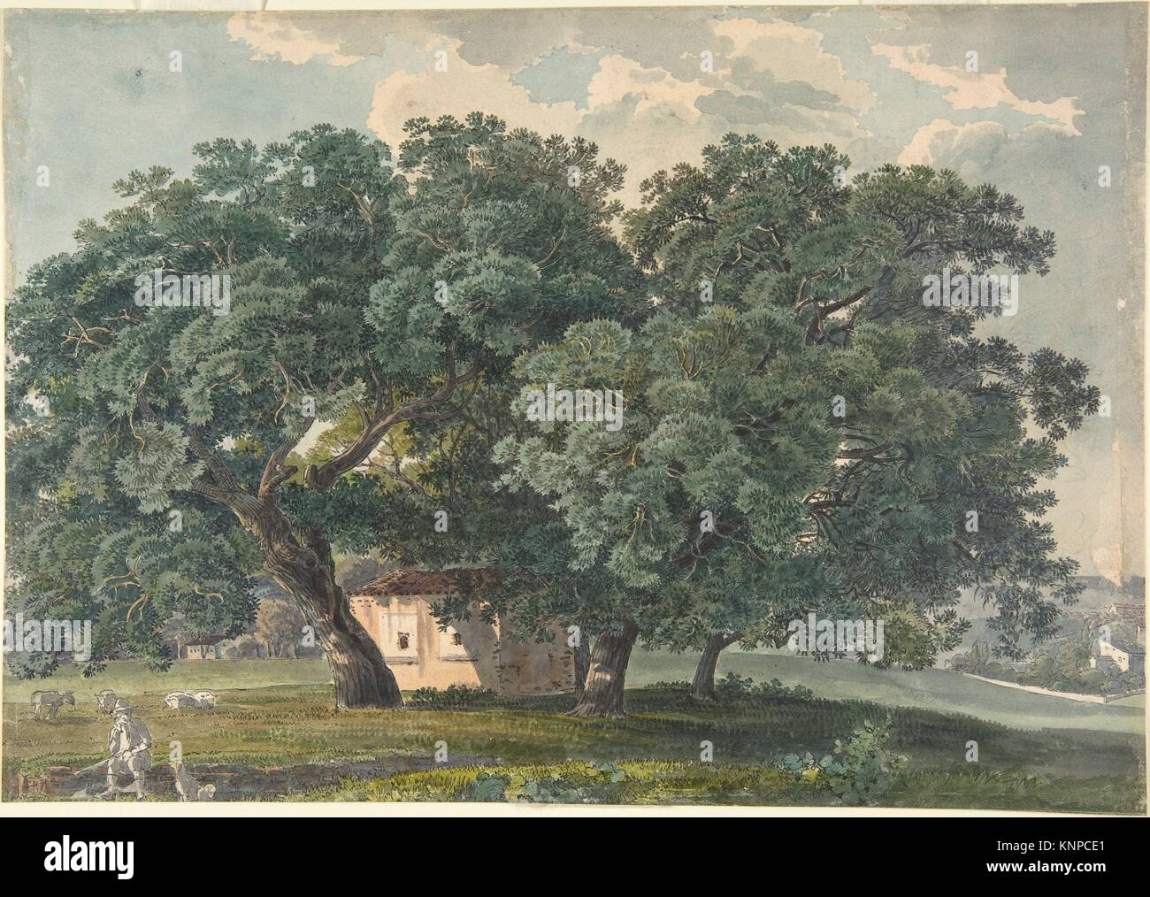 Italian Landscape with Trees (recto). Artist: Friedrich Salathé (Swiss, Binningen 1793-1860 Paris); Date: 1815-21; Medium: Watercolor (recto); Stock Photo