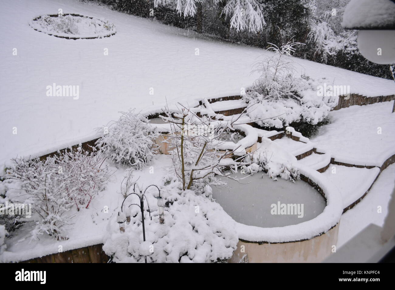 large circular ponds in snow and ice covered in garden after a heavy snow storm with small shrubs and bushes the doward south herefordshire england UK Stock Photo