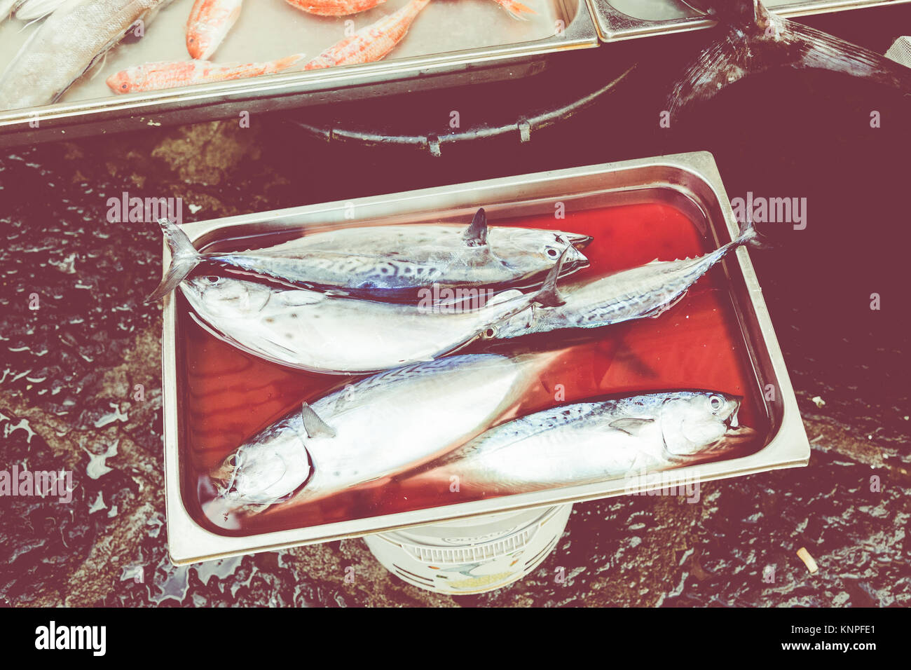 Colorful choice of fish at a market in Palermo, Sicily, Italy Stock ...