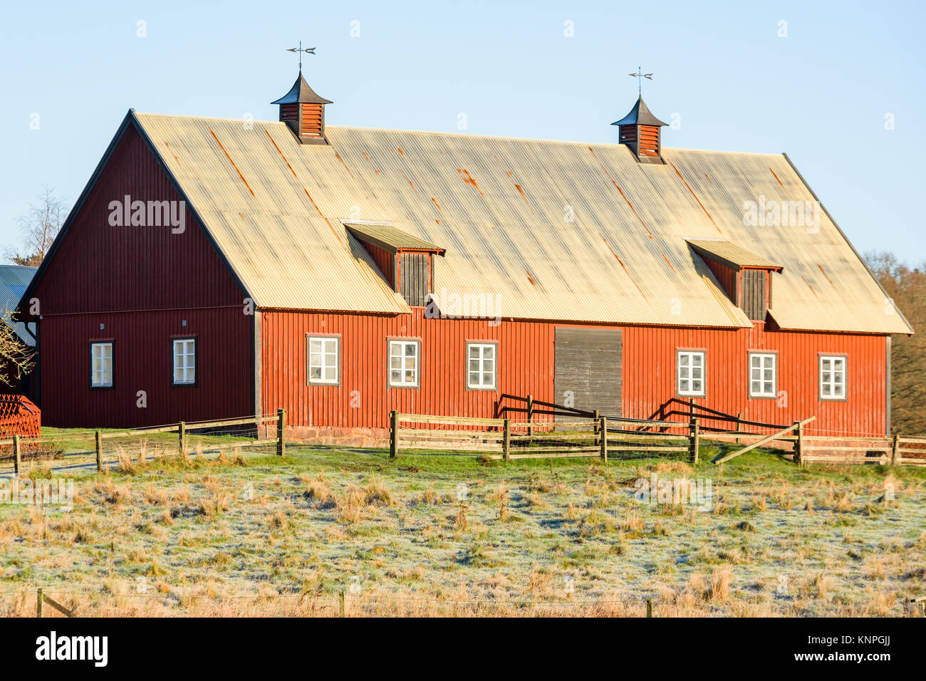 Nattraby, Sweden - November 13, 2017: Documentary of everyday life and environment. Traditional red barn with covered ventilation towers on roof. Cold Stock Photo
