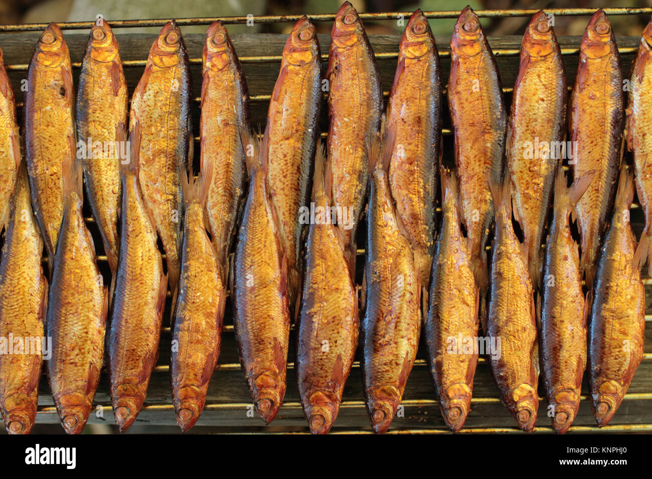homemade hot Smoked fish on grill Stock Photo Alamy