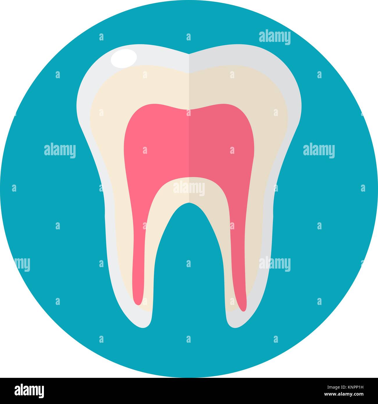 Healthy white teeth. Icon flat style. Dentistry, dentist concept ...