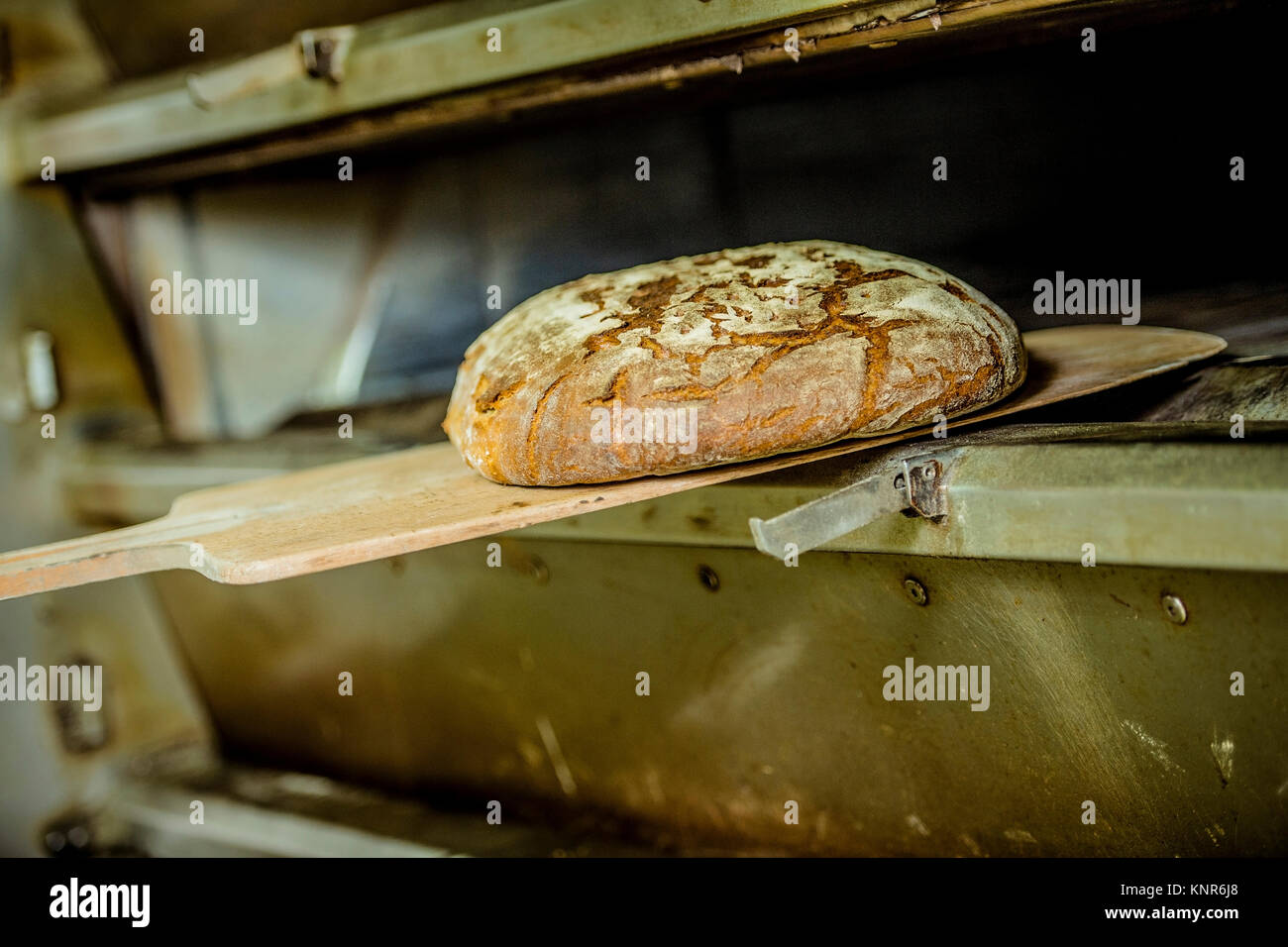 Brot backen, Backstube - baking bread Stock Photo