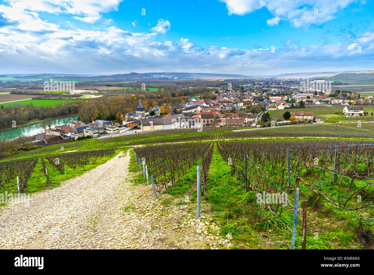 Champagne vineyards in the village of Mareuil sur ay, Epernay, Marne, Champagne region, France Stock Photo