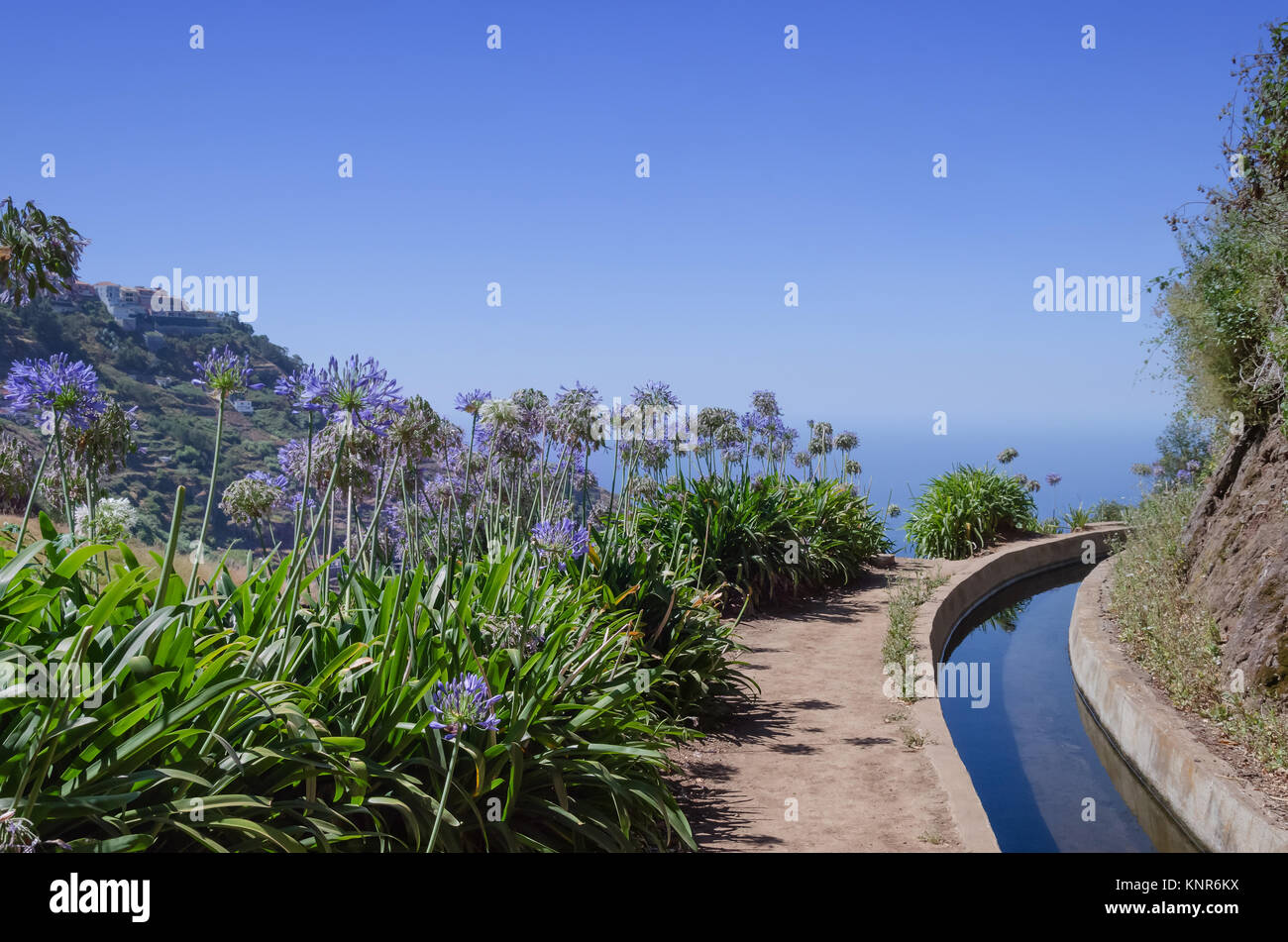 Stunning Atlantic ocean view from the walking path along water irrigation channel, called levada, in Madeira island, Portugal. The blooming big and bl Stock Photo