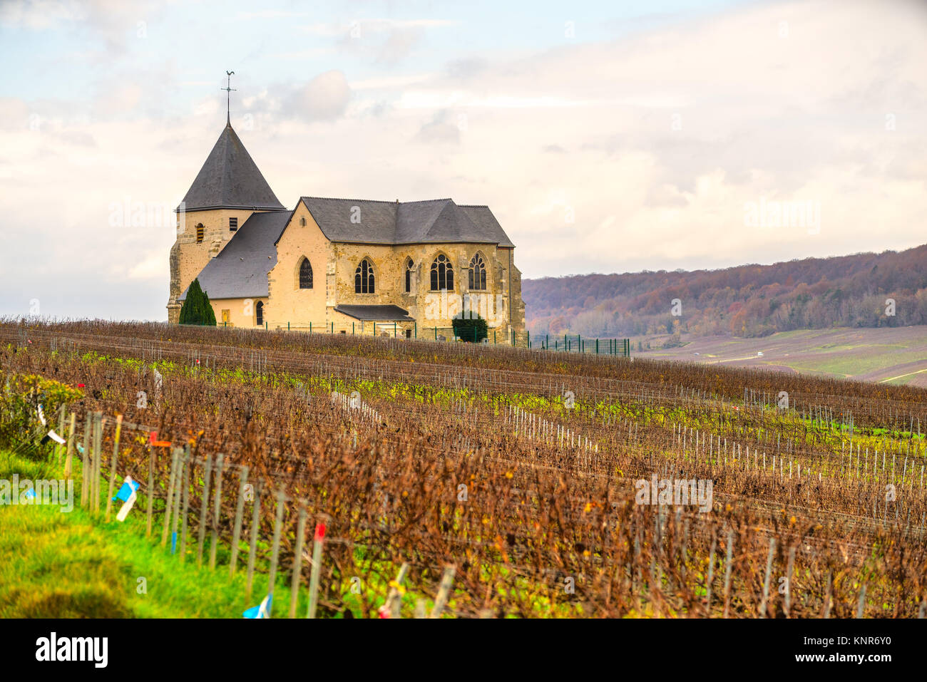 Vineyards And Chavot Courcourt Church In Champagne Area, Epernay, France Stock Photo