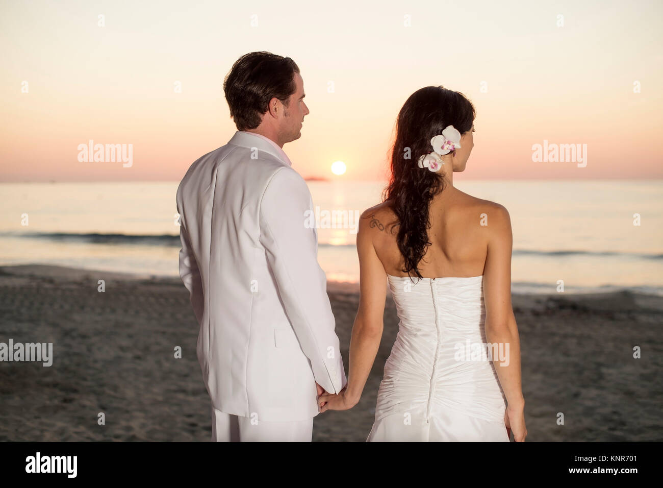 Download Weihnachtsdekorationen west palm beach For iPhone Weihnachtsdekorationen West Palm Beach