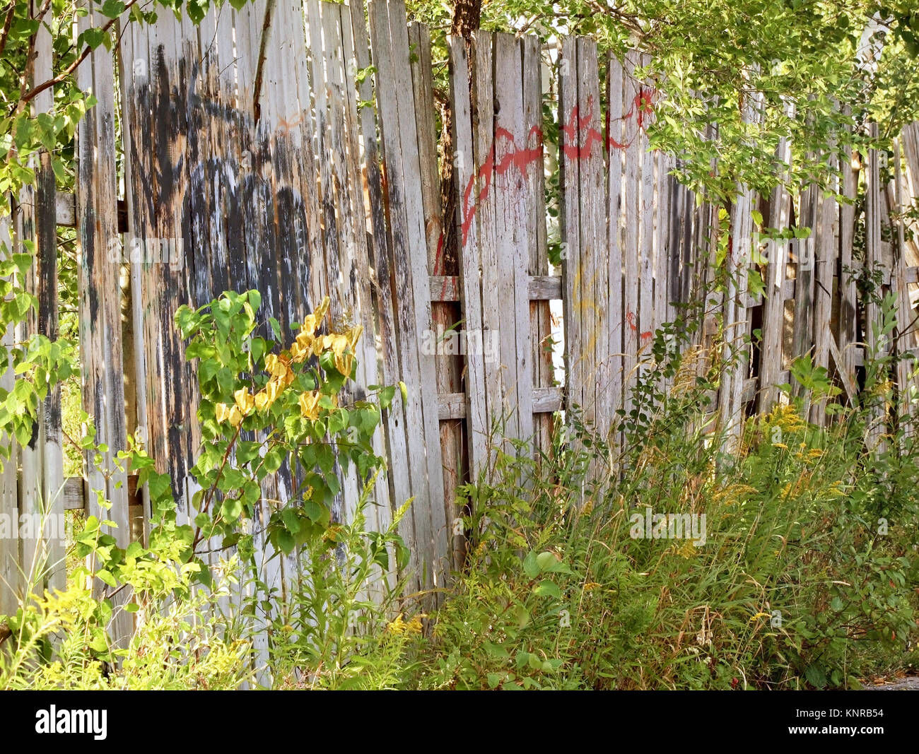 Old run down wooden fence with red paint splattered  and covered up Graffiti Stock Photo