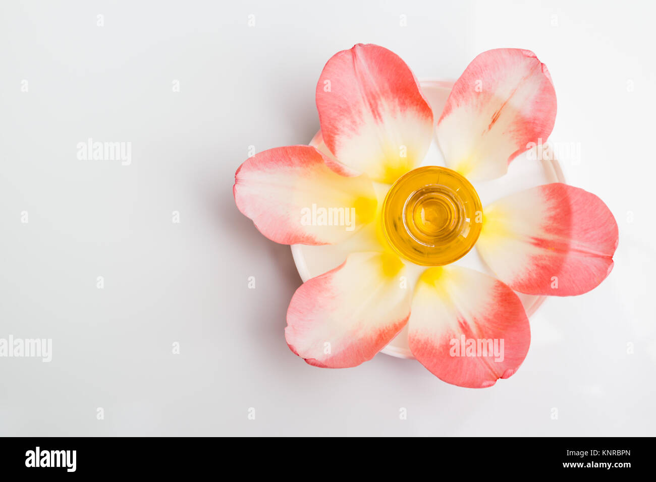 Rose aromatherapy oil. Dropper bottle on plate with tender pink petals and flower, top view. Stock Photo