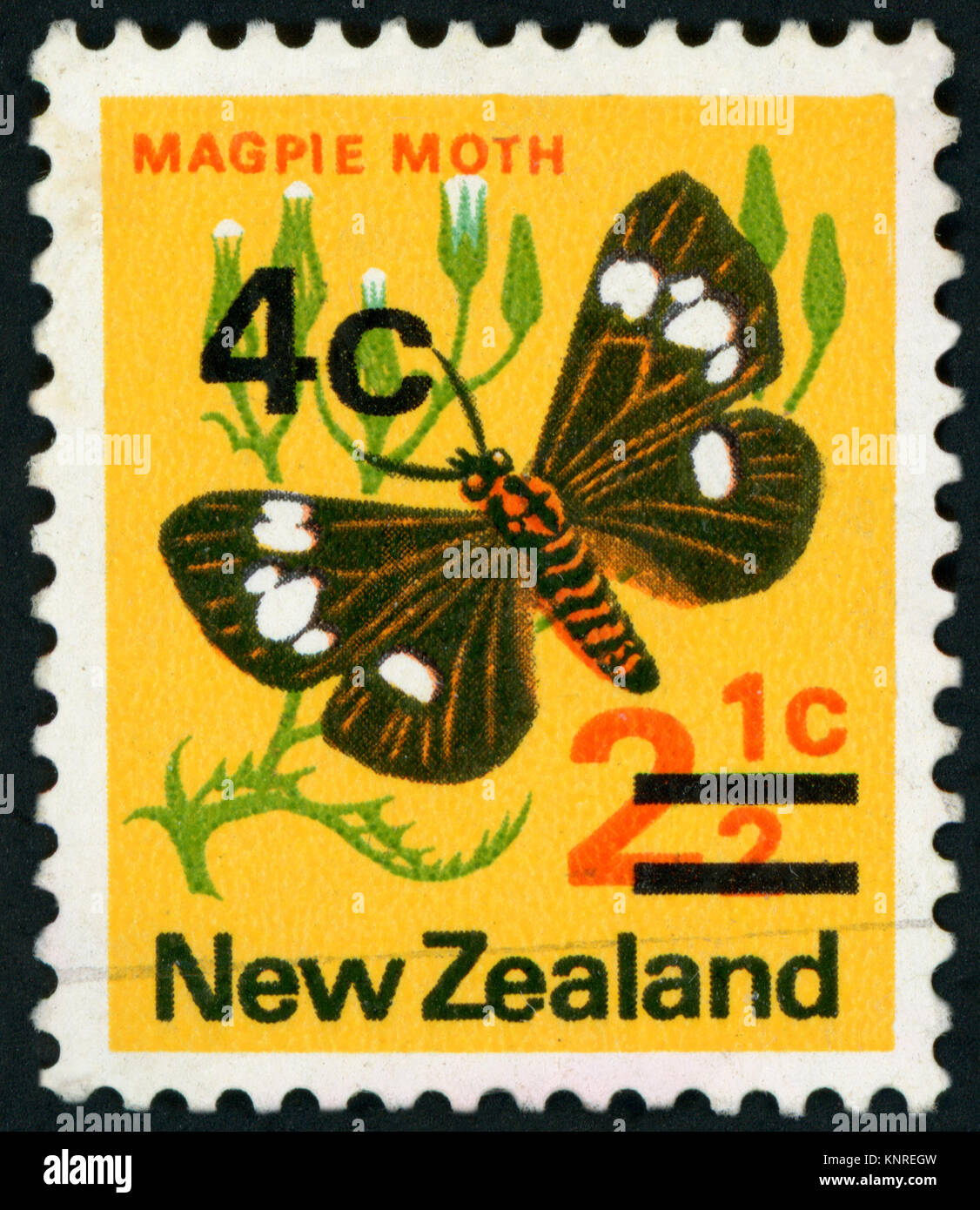 NEW ZEALAND - CIRCA 1970: A stamp printed in New Zealand shows Magpie moth (Eurrhypara hortulata), circa 1970 Stock Photo