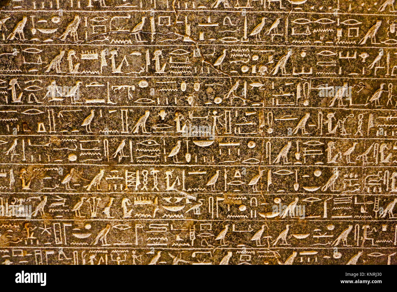 Egyptian hieroglyphics carved on a granite slab in the Egyptian Museum of Antiquities, Cairo, Egypt, North Africa Stock Photo