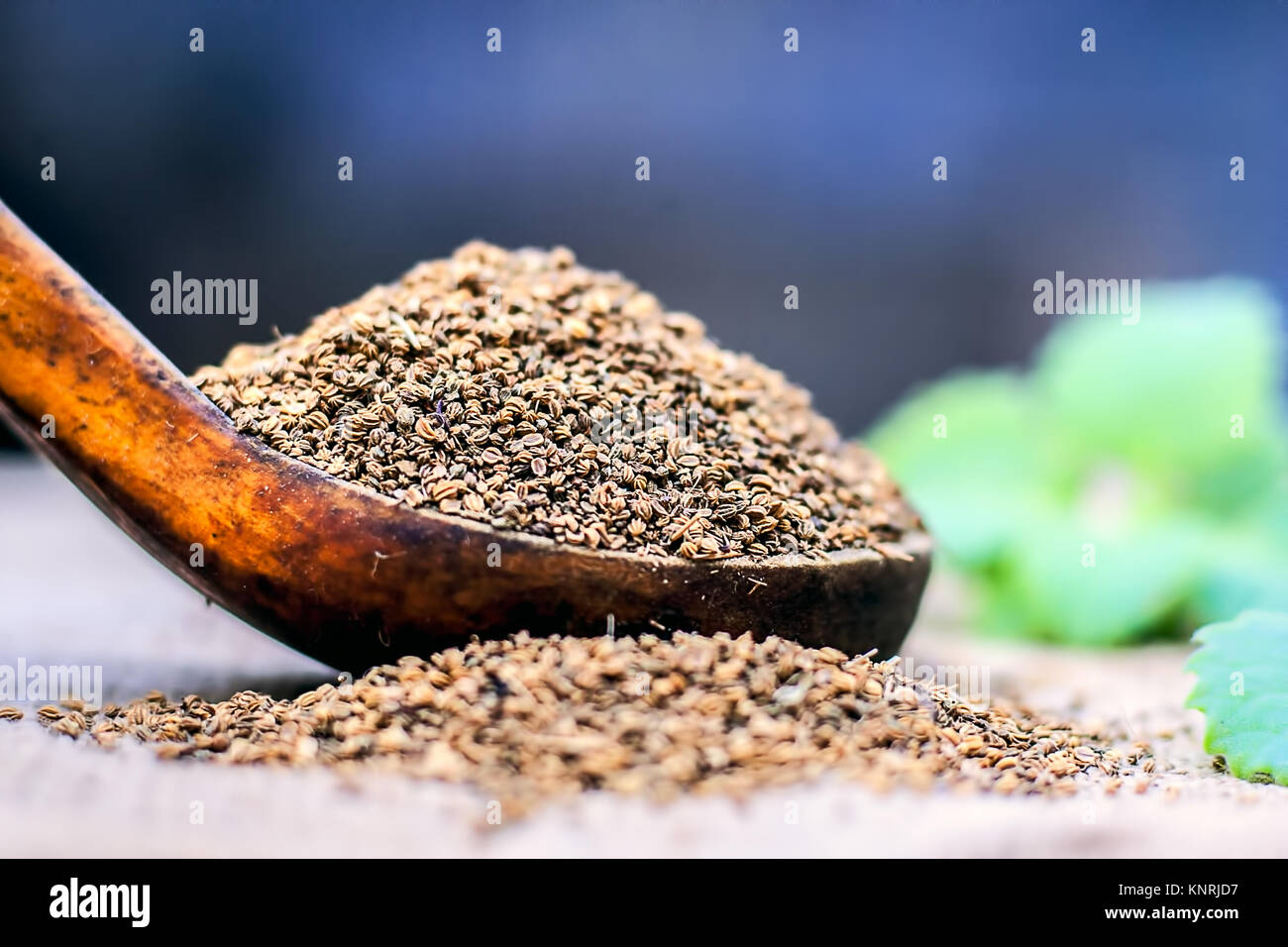 Trachyspermum ammi, Ajwain seeds in a wooden scoop with some leaves on
