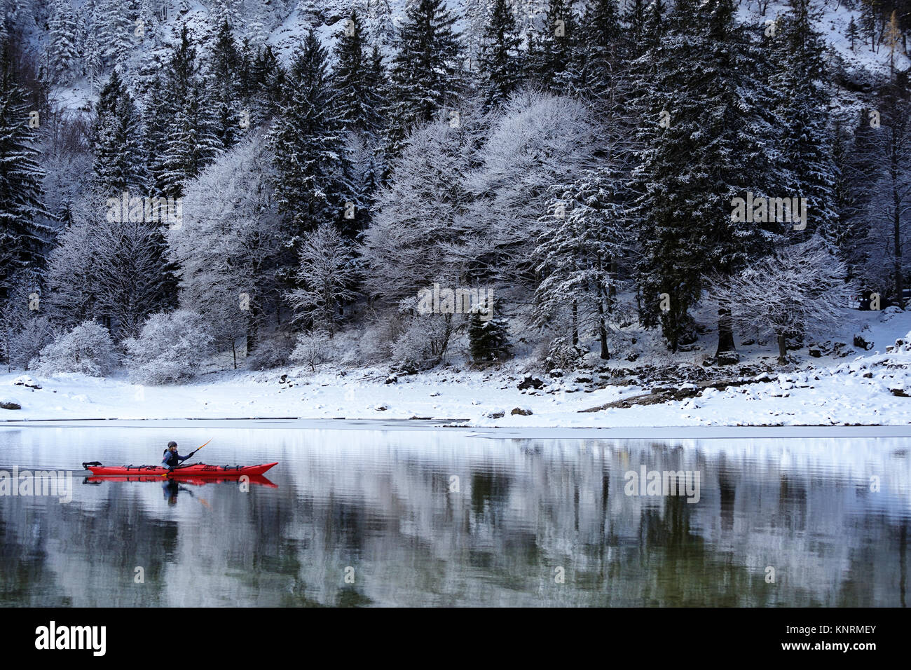 Woman in a red kayak paddling in winter wanderland on a cold winter day at  Lago di Predil, Alps, Italy Stock Photo - Alamy
