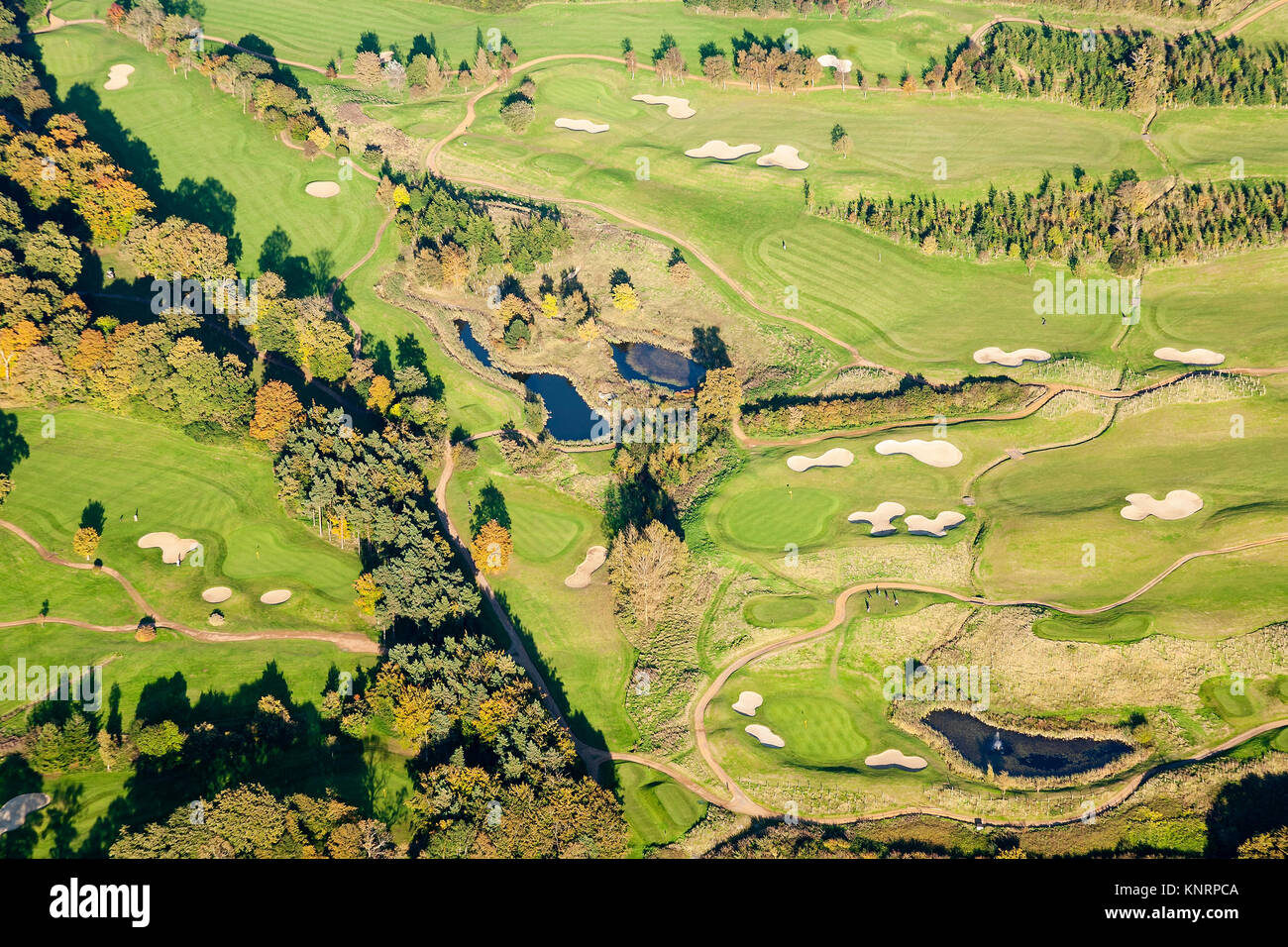 Aerial view of a Golf Course, UK. Stock Photo