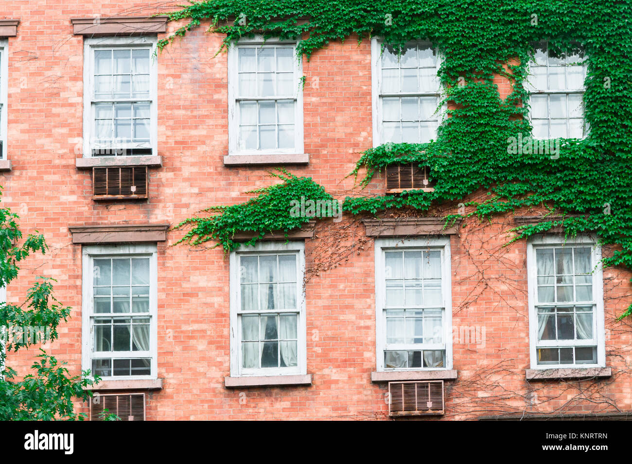 Brick building partially covered with ivy in the West Village of New York City Stock Photo