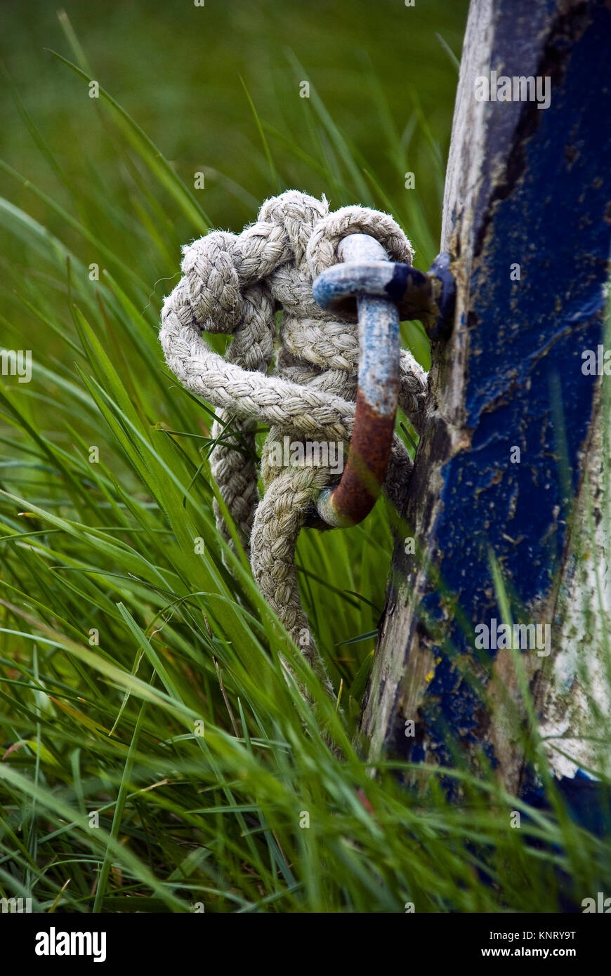 Close up tail of a clinker boat in a grassy field tied down with some