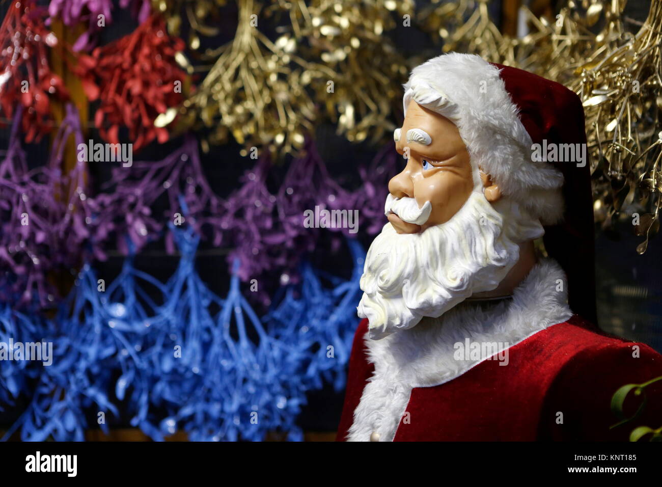 Mistel (Viscum album), gefärbte Mistel,Tradition,Santa Claus,Weihnachtsmann Stock Photo