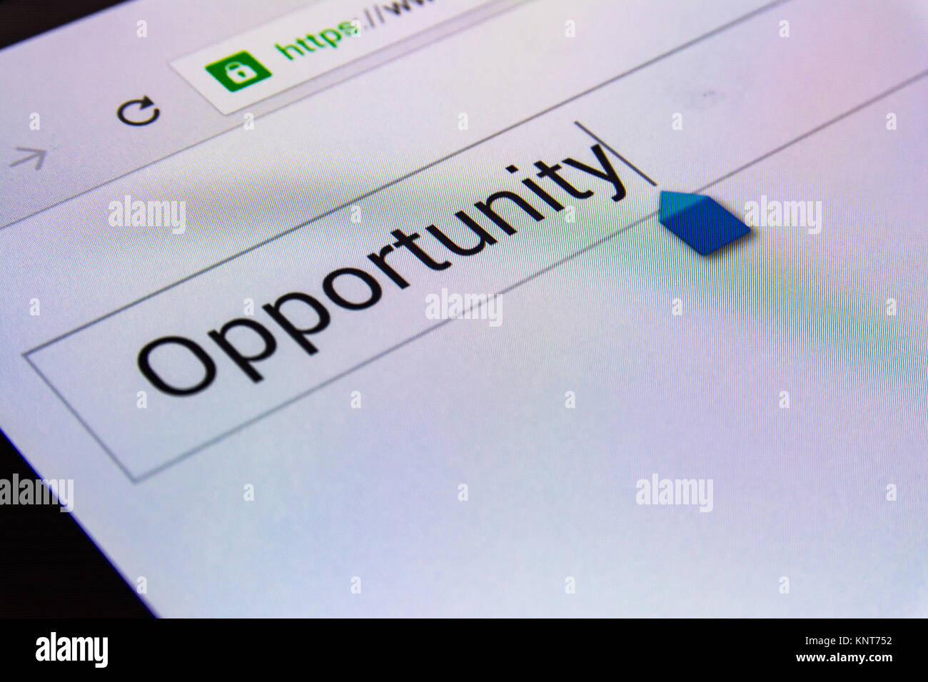 Magnifying Glass Search Box Empty Blank Screen Opportunity