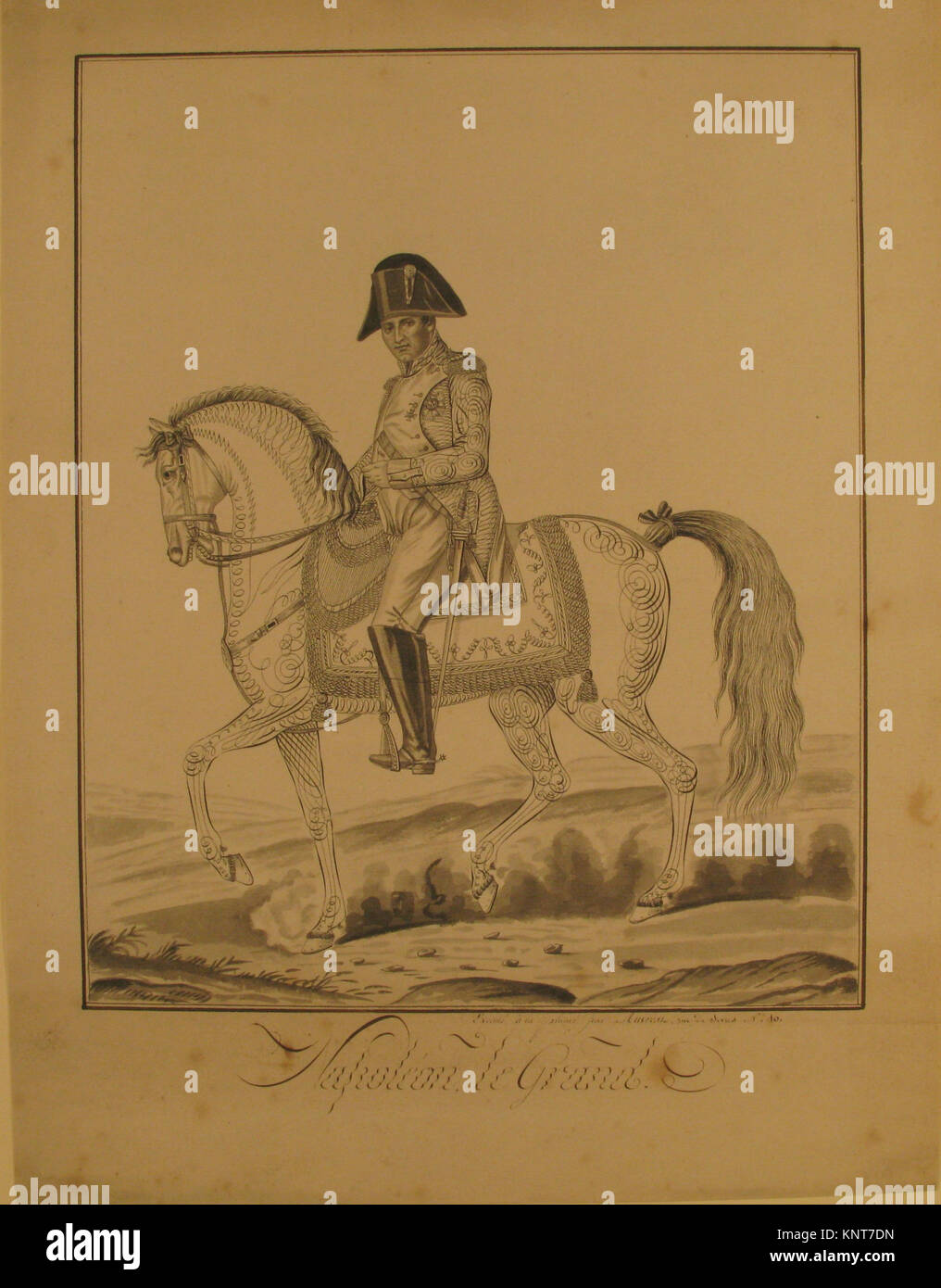 Equestrian portrait of napoleon hi-res stock photography and images - Alamy