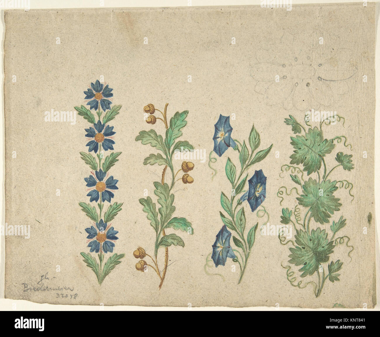 Compositional designs hi-res stock photography and images - Alamy