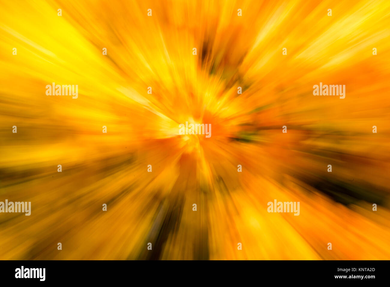 Abstract background with orange and yellow Zoom in effect. Stock Photo