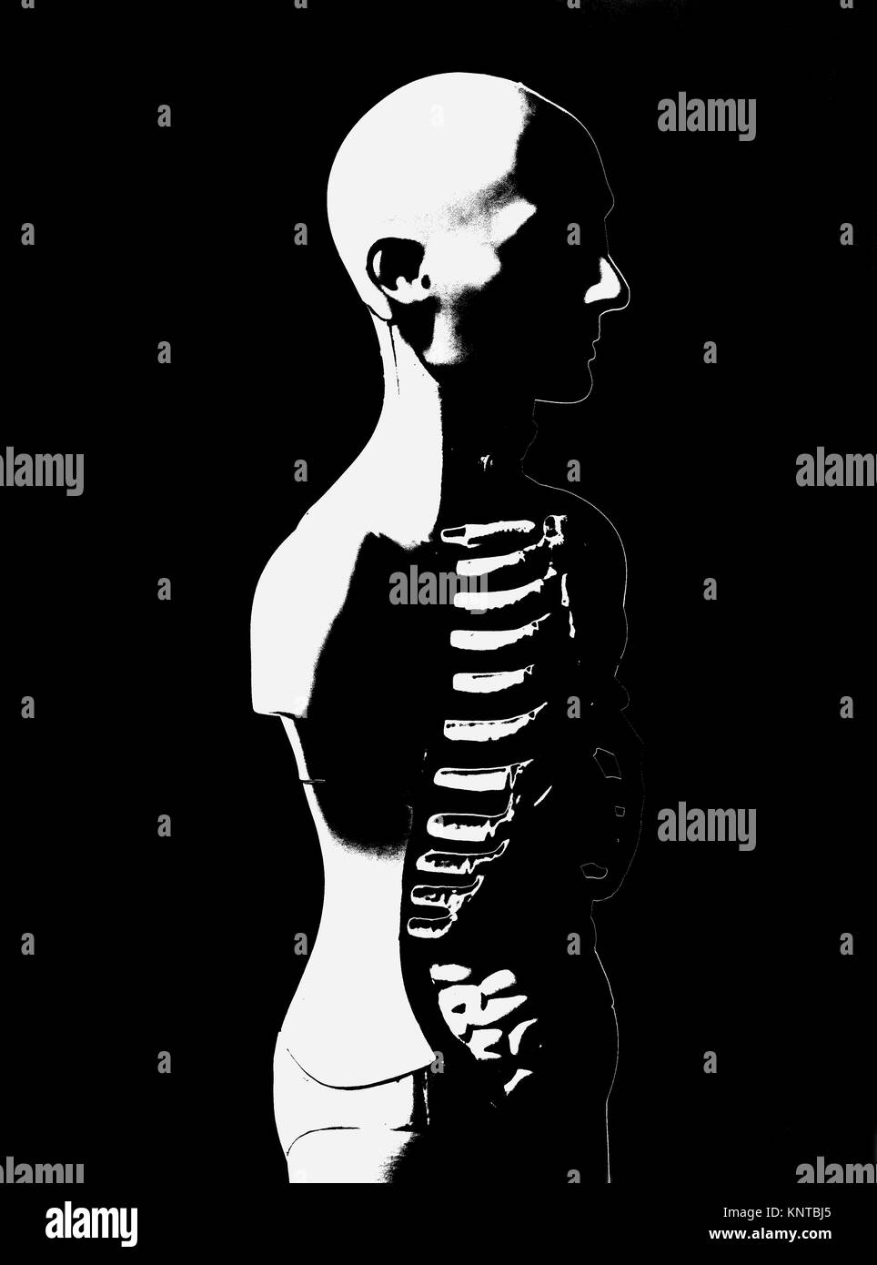 Human Body Anatomy Model illustration on black background Stock Photo