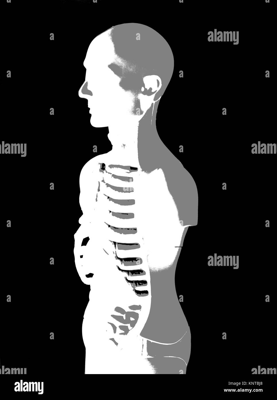 Human Body Anatomy Model illustration on black background Stock Photo