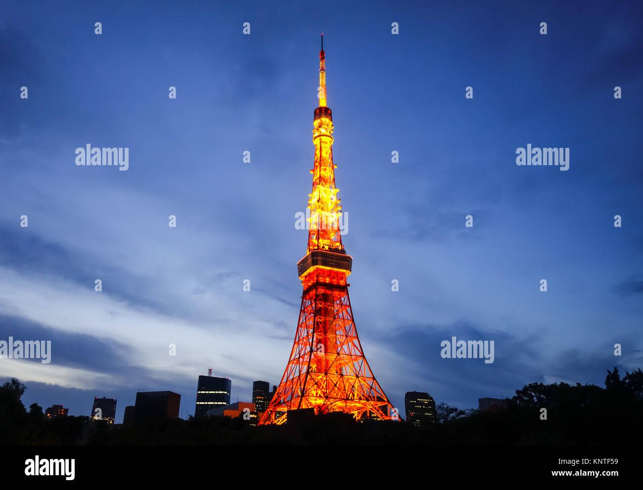 Tokyo tower and city at night, Japan Stock Photo