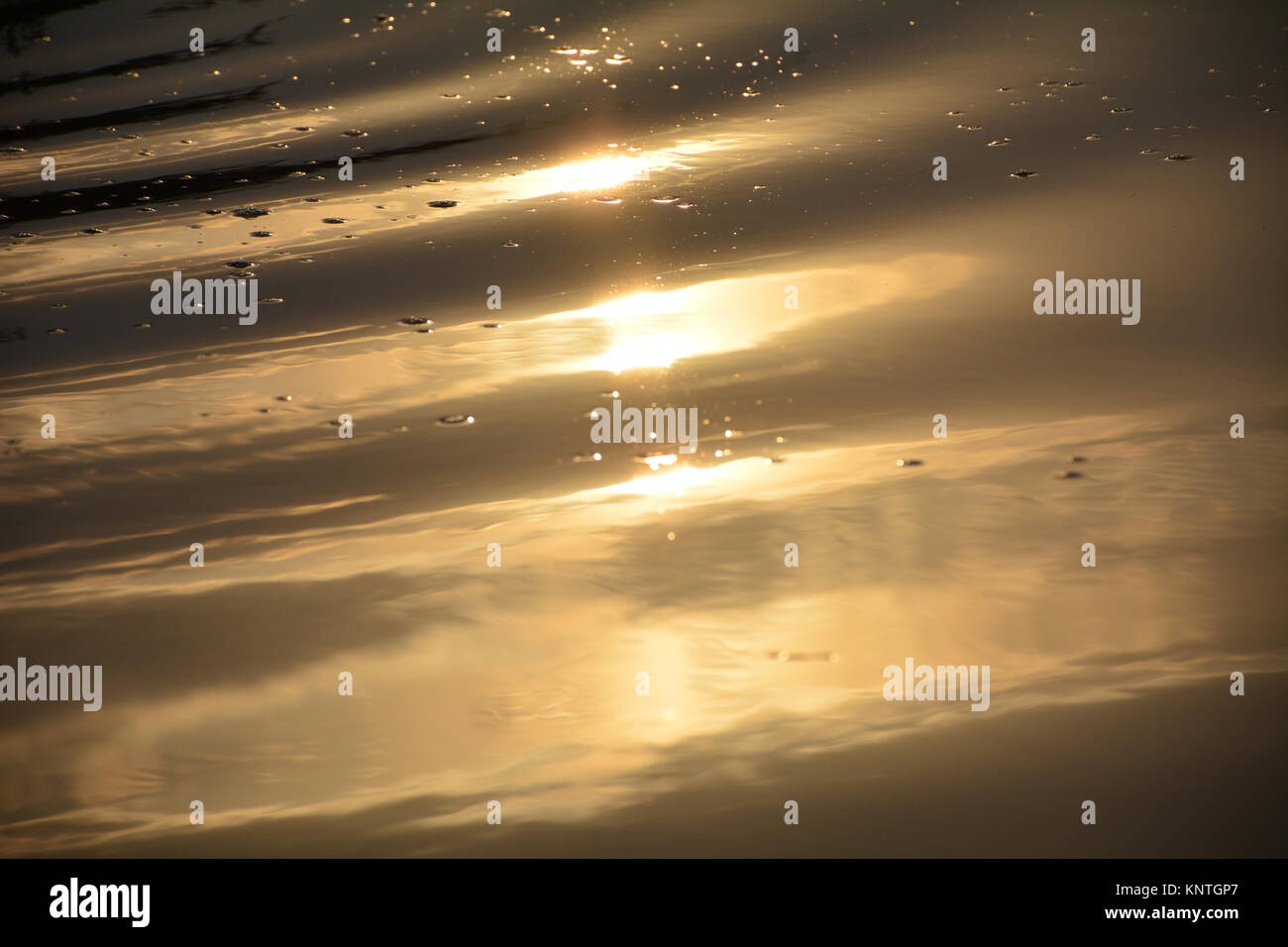 golden water wave reflection in sunset Stock Photo - Alamy