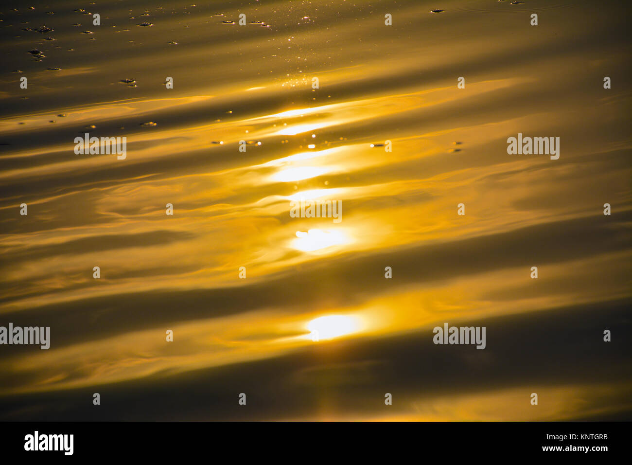 golden water wave reflection in sunset Stock Photo