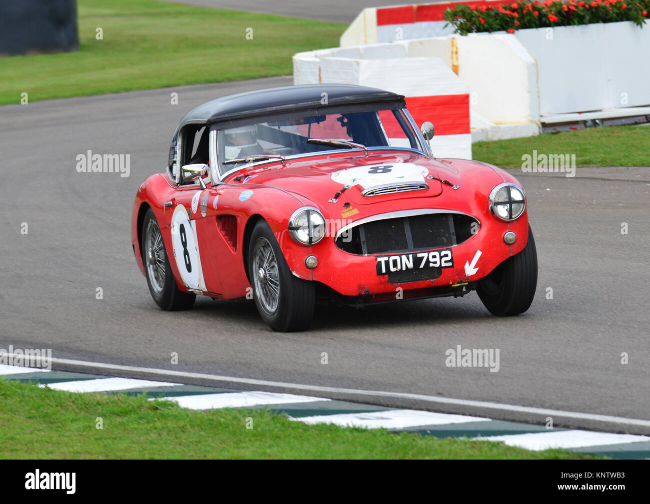 Austin Healey, David Smithies, Fordwater Trophy, Goodwood Revival 2013, TON 792. Stock Photo