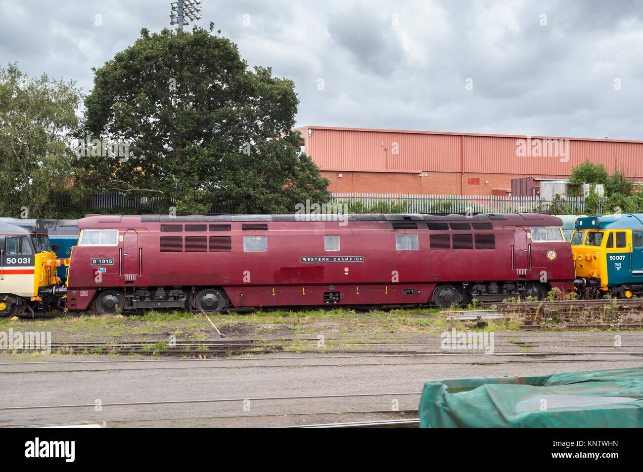 Diesel electric diesel hydraulic hires stock photography and images