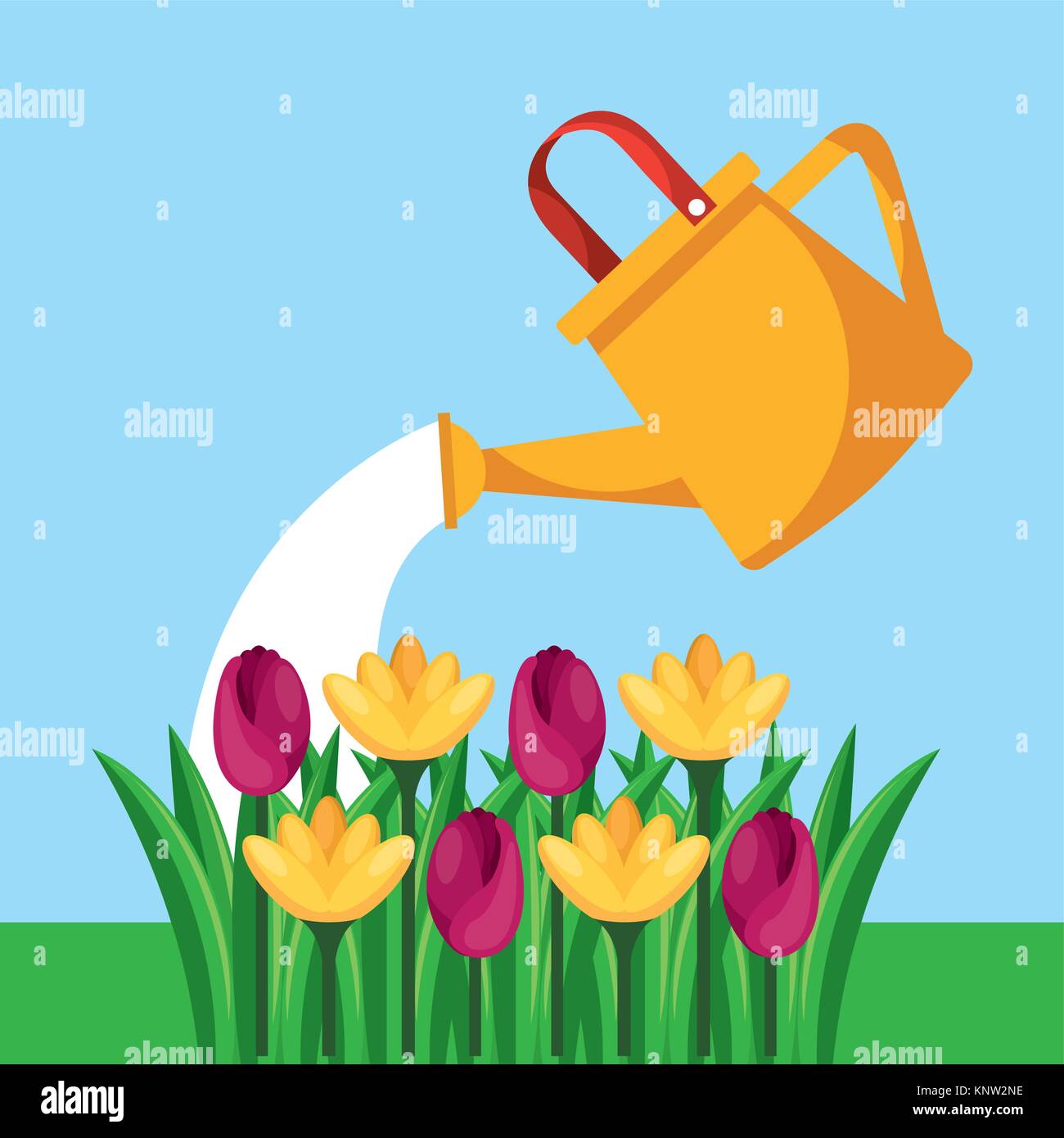 watering can and flowers natural Stock Vector Image & Art Alamy