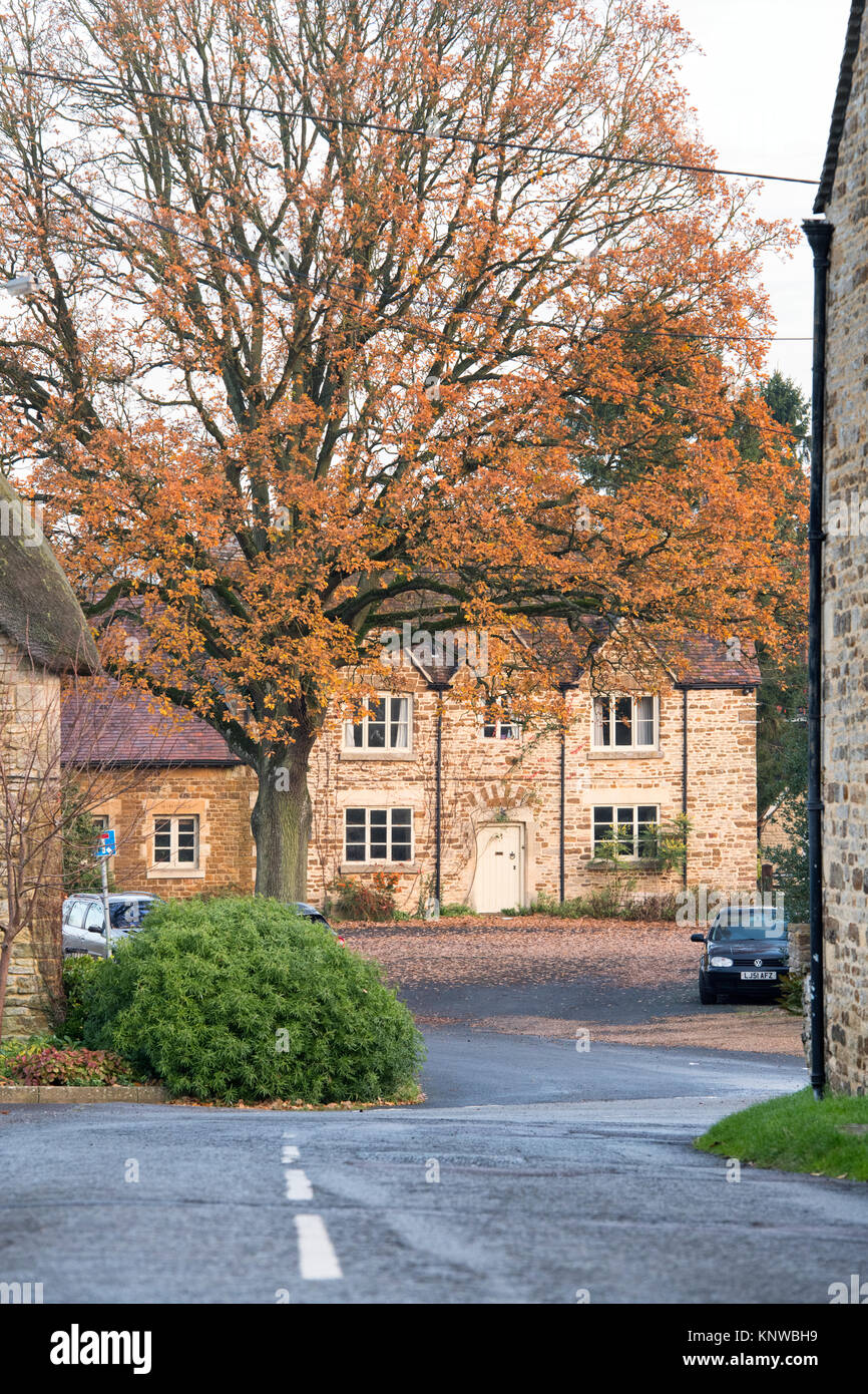Autumn tree in front of a house in the centre of Lower Heyford, Oxfordshire, England Stock Photo