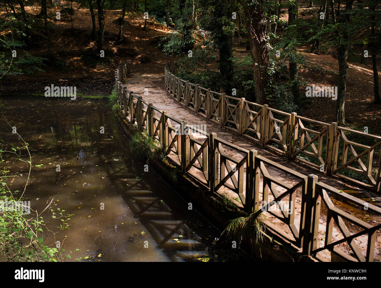 wooden bridge in the forest Stock Photo - Alamy